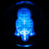 Subject 007 – Genesis Sphere