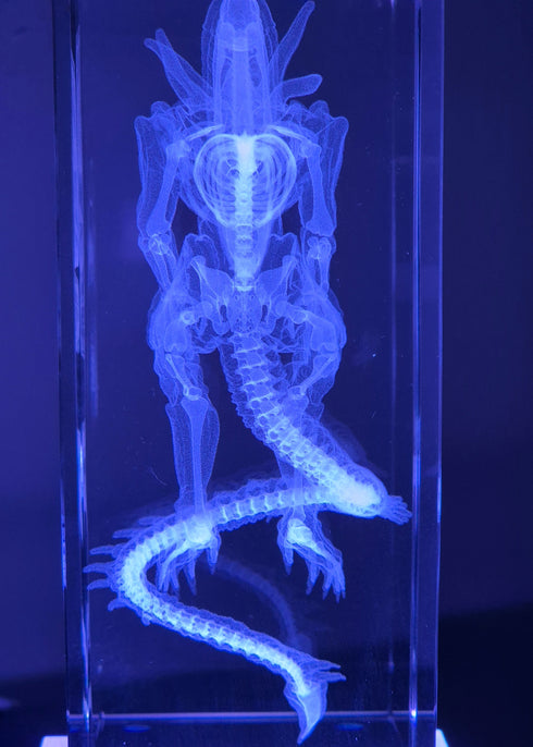 X-Ray relic: Xenomorph